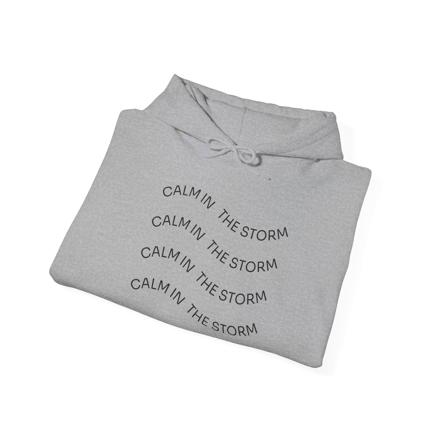 Calm in the storm Hoodie