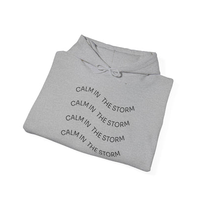 Calm in the storm Hoodie