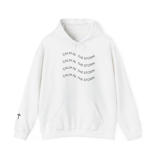 Calm in the storm Hoodie