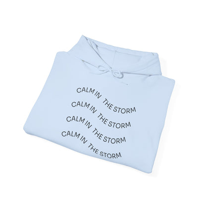 Calm in the storm Hoodie