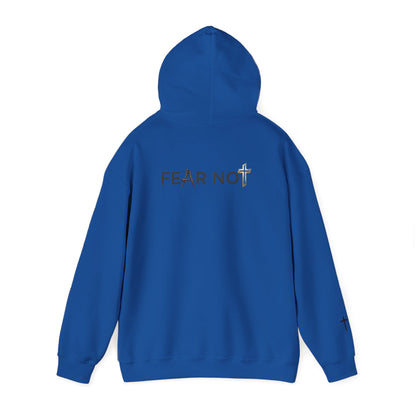 Calm in the storm Hoodie