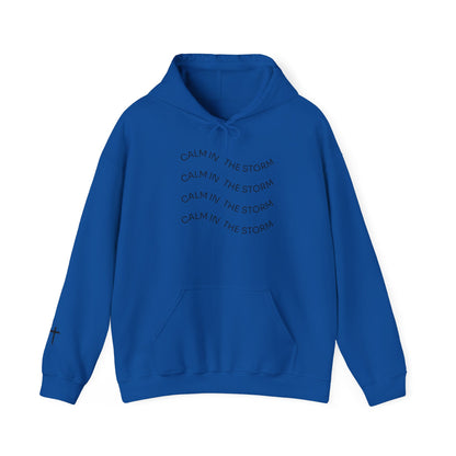 Calm in the storm Hoodie
