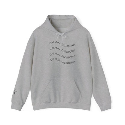 Calm in the storm Hoodie