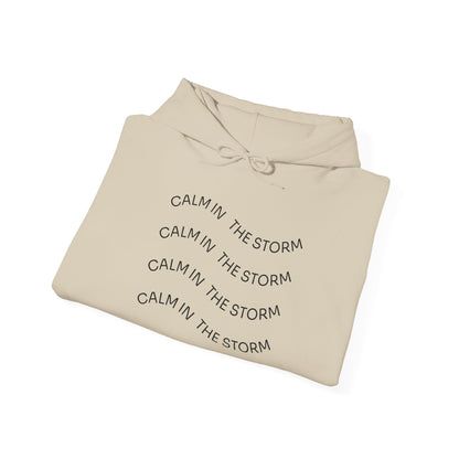 Calm in the storm Hoodie