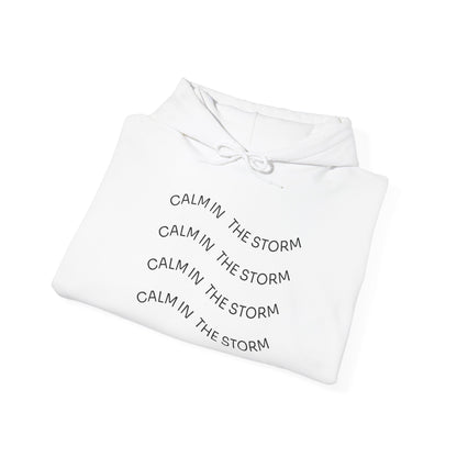 Calm in the storm Hoodie